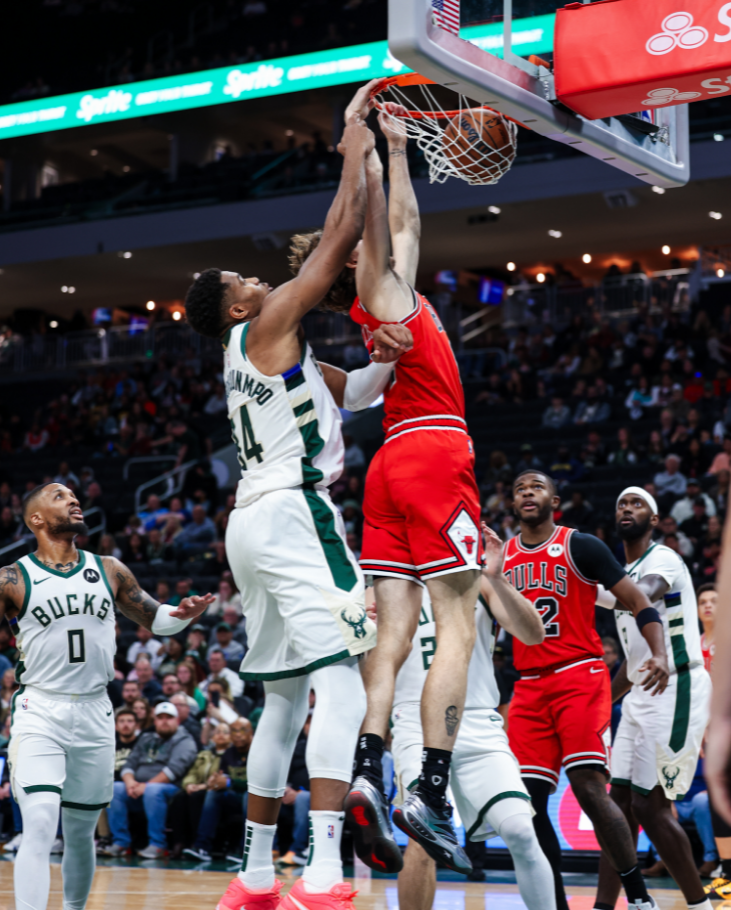 公牛队字母哥 公牛队字母哥